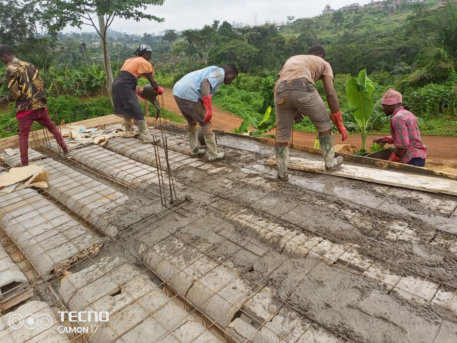 Professional Construction